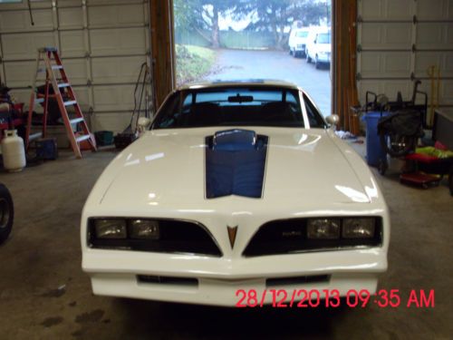 1981 pontiac trans am fresh motor new paint new interior very clean nice car