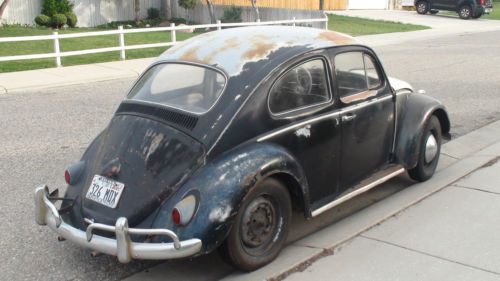 1961 volkswagon beetle